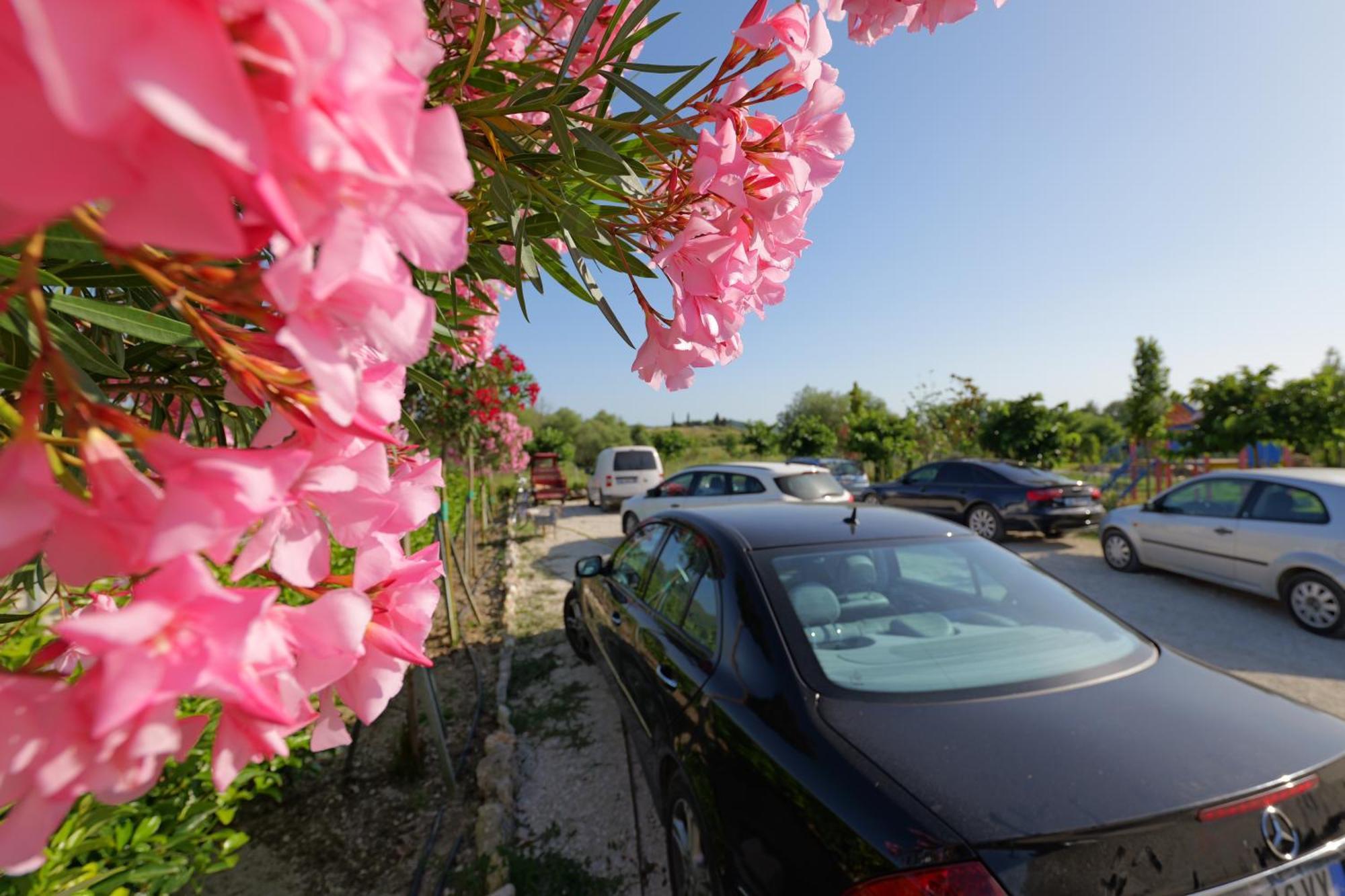 Mesopotam Agrotourism Resort Sarande Exterior photo